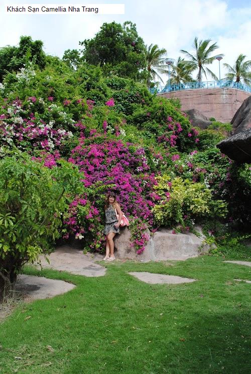 Hình ảnh Khách Sạn Camellia Nha Trang