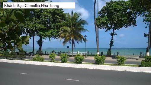 Cảnh quan Khách Sạn Camellia Nha Trang