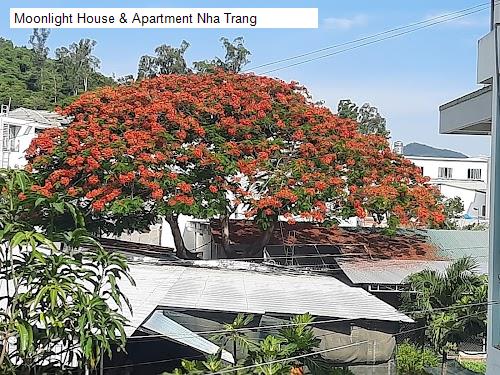 Moonlight House & Apartment Nha Trang