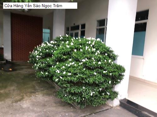 Cửa Hàng Yến Sào Ngọc Trâm