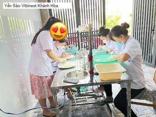 Yến Sào Vibinest Khánh Hòa